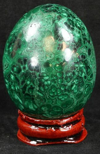 Stunning Polished Malachite Egg - Congo #34673